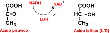 formula-acid-lattico