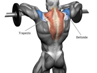 Esercizio muscolo trapezio