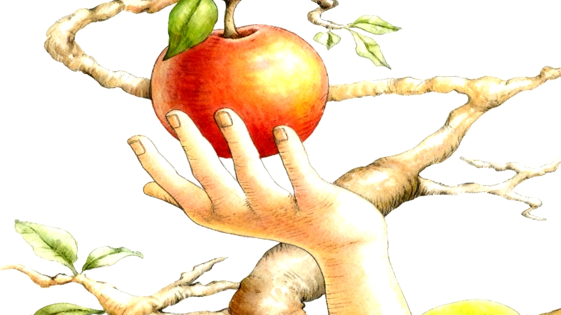 Forbidden Fruit2025-11-24T07:05:29.284Z"